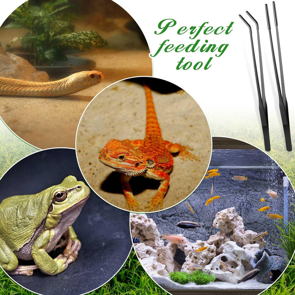 Lasnten packaging shows backup tongs for convenient spare use.