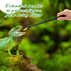 Lasnten bearded dragon feeding tongs with rubber tip for safe mouth contact.