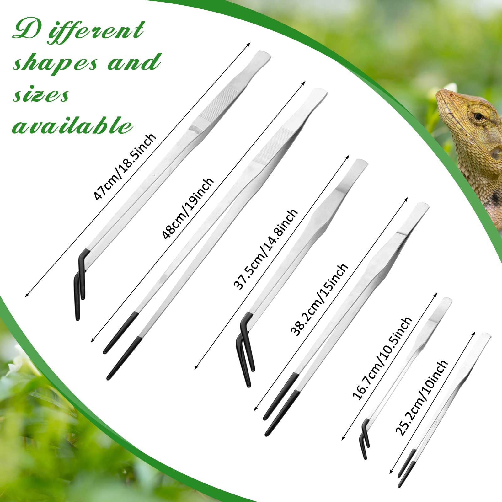 Lasnten bearded dragon feeding tongs suited for tank setups.