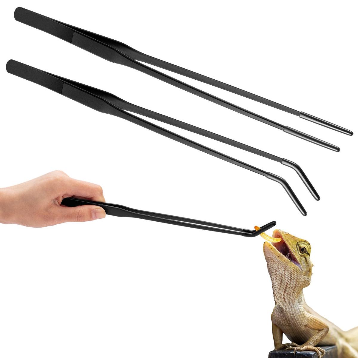 Lasnten long tongs straight tip for precise reptile feeding.