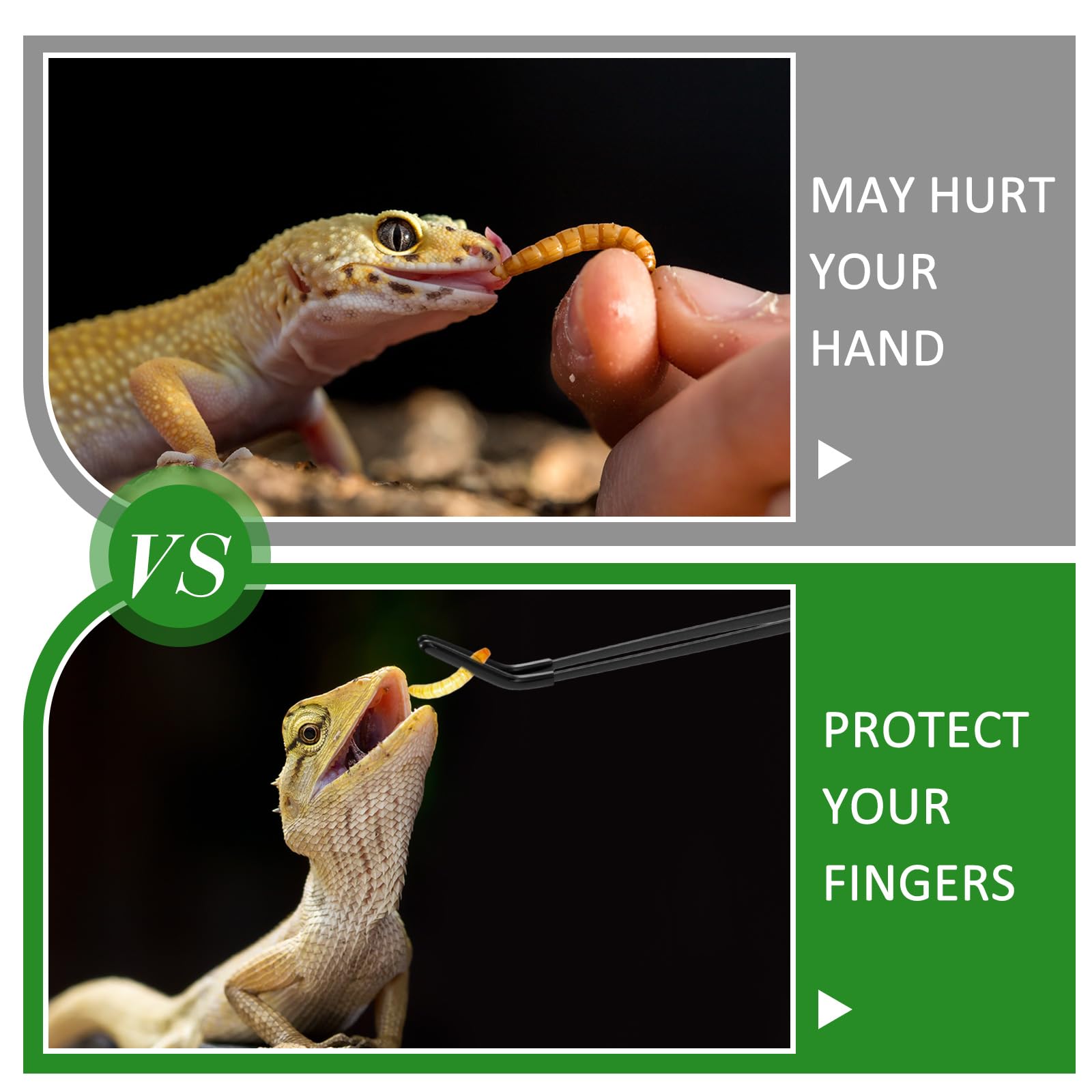 Lasnten terrarium feeding tools set for easy plant and worm handling.