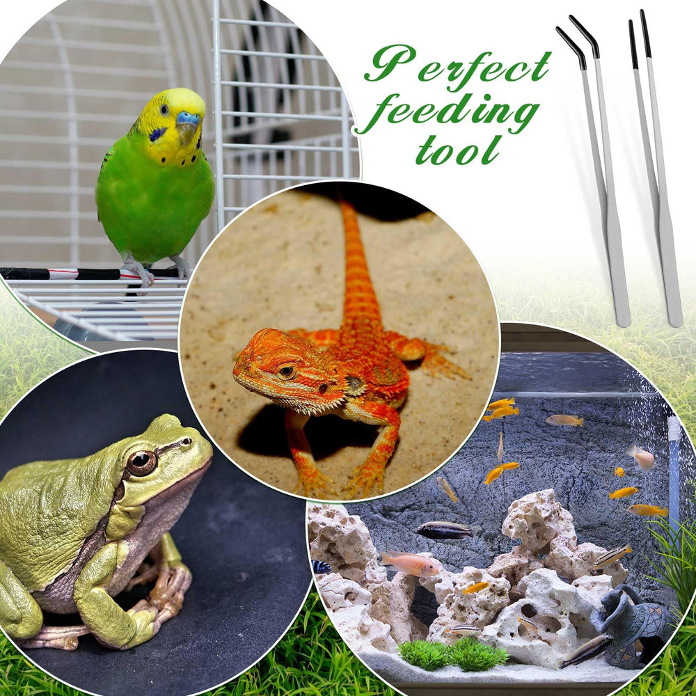 Lasnten two-piece feeding tongs set offers versatile reptile handling.