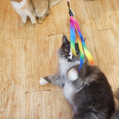 LASOCUHOO bell-teasers attract attention and invite pounces during wand play.