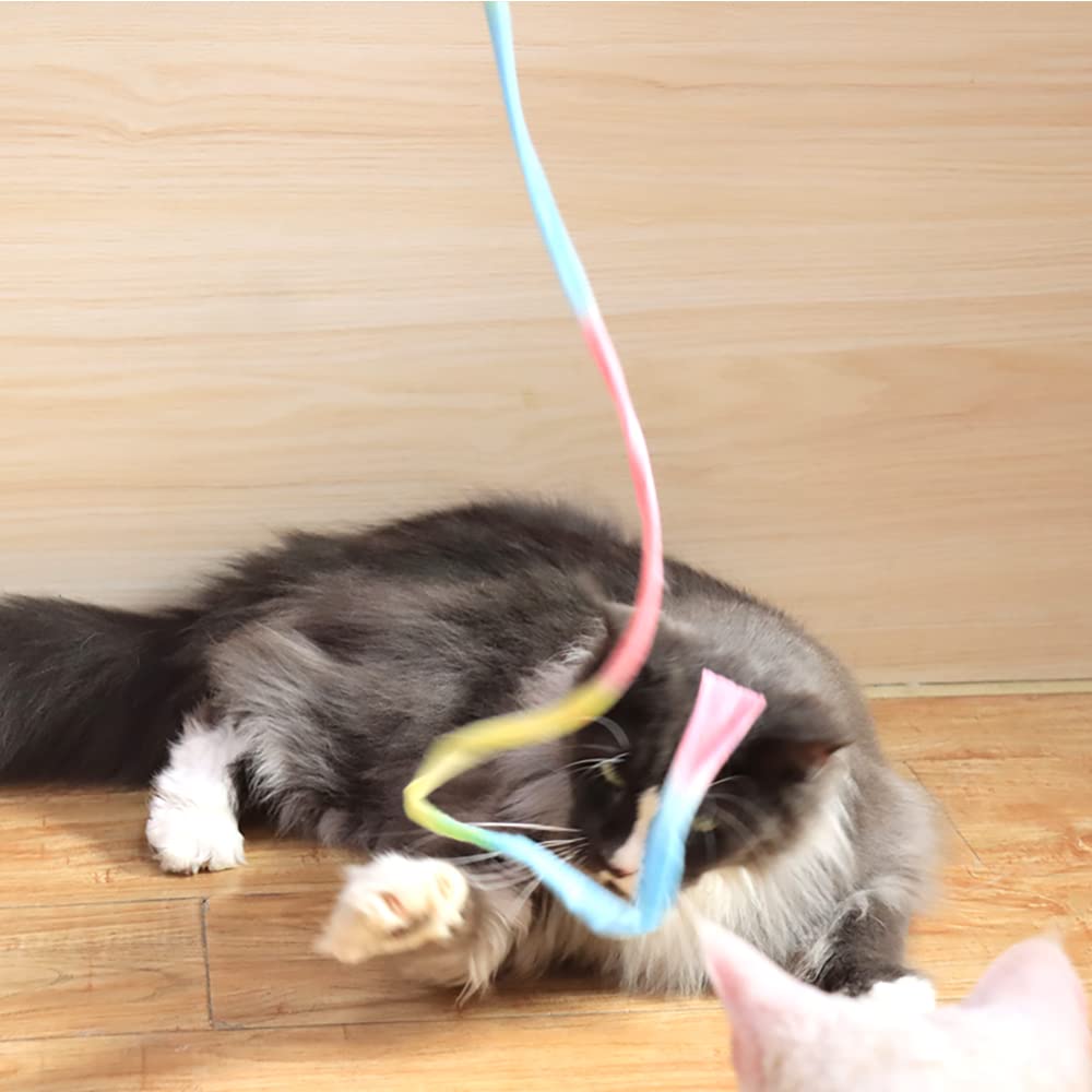 LASOCUHOO cat engagement scene encouraging indoor activity.