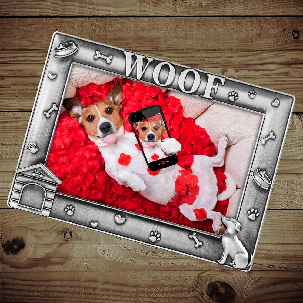 LASODY Gift-ready packaging makes a thoughtful present for dog lovers.