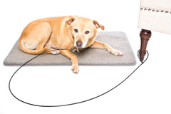 LAST LEASH Training Tie Down 6ft packaging box shows affordable crate-training solution.