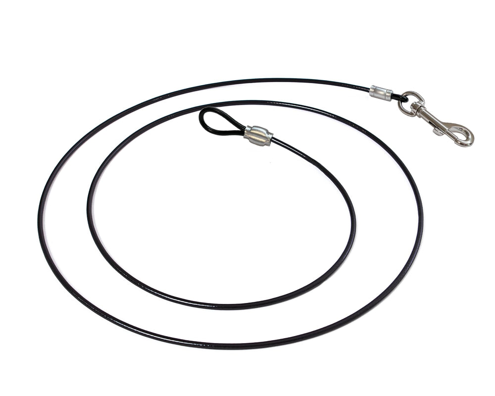 LAST LEASH Training Tie Down 6ft strap closeup showing chew-prevention design.