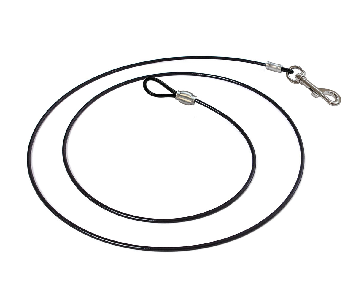 LAST LEASH Training Tie Down 6ft strap closeup showing chew-prevention design.