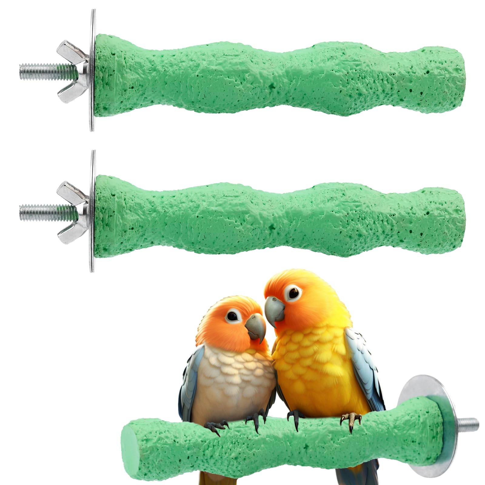 Lasuroa bird beak grinding stone perch side view for natural grooming