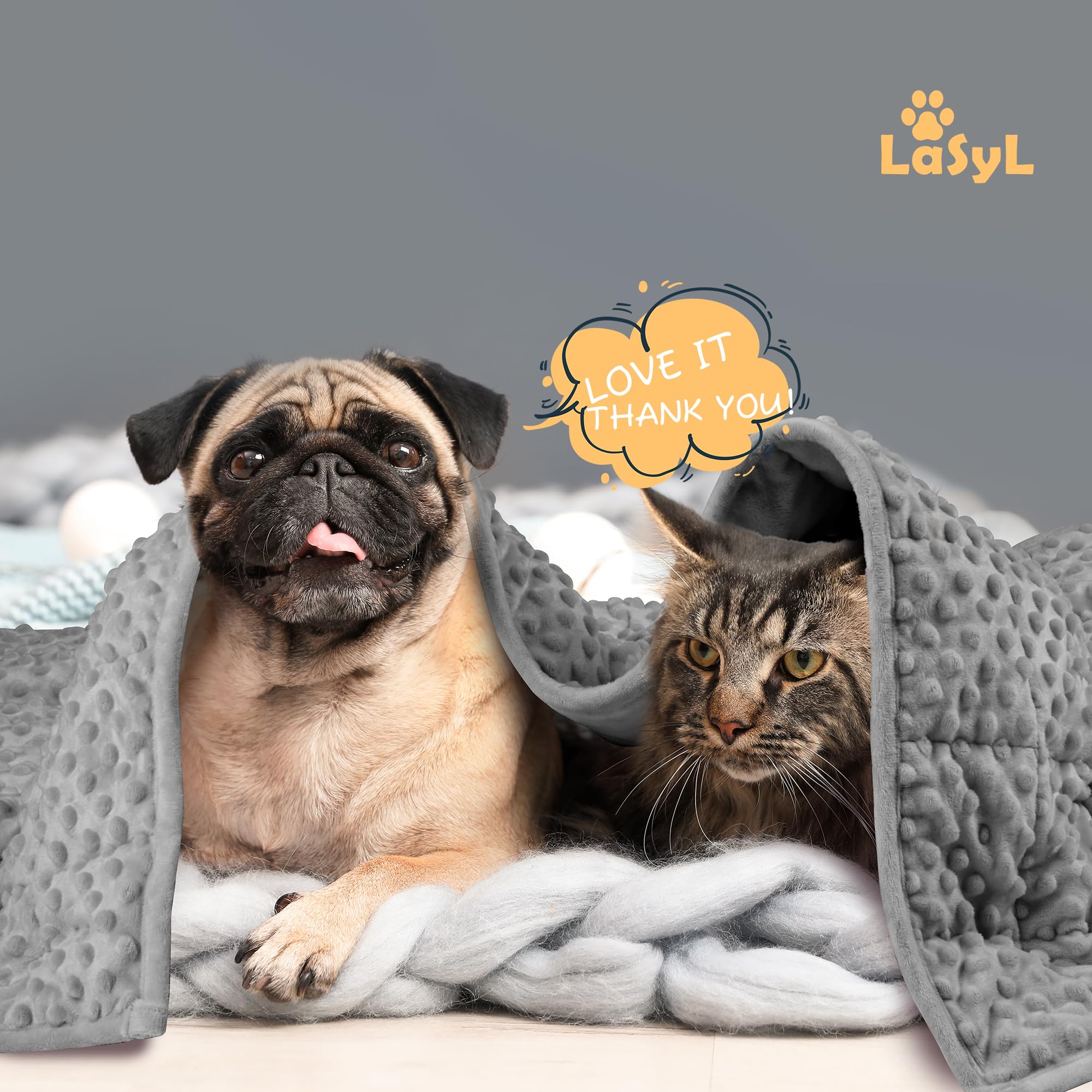 LaSyL pet blanket suitable for cats and rabbits offers versatile comfort at home.