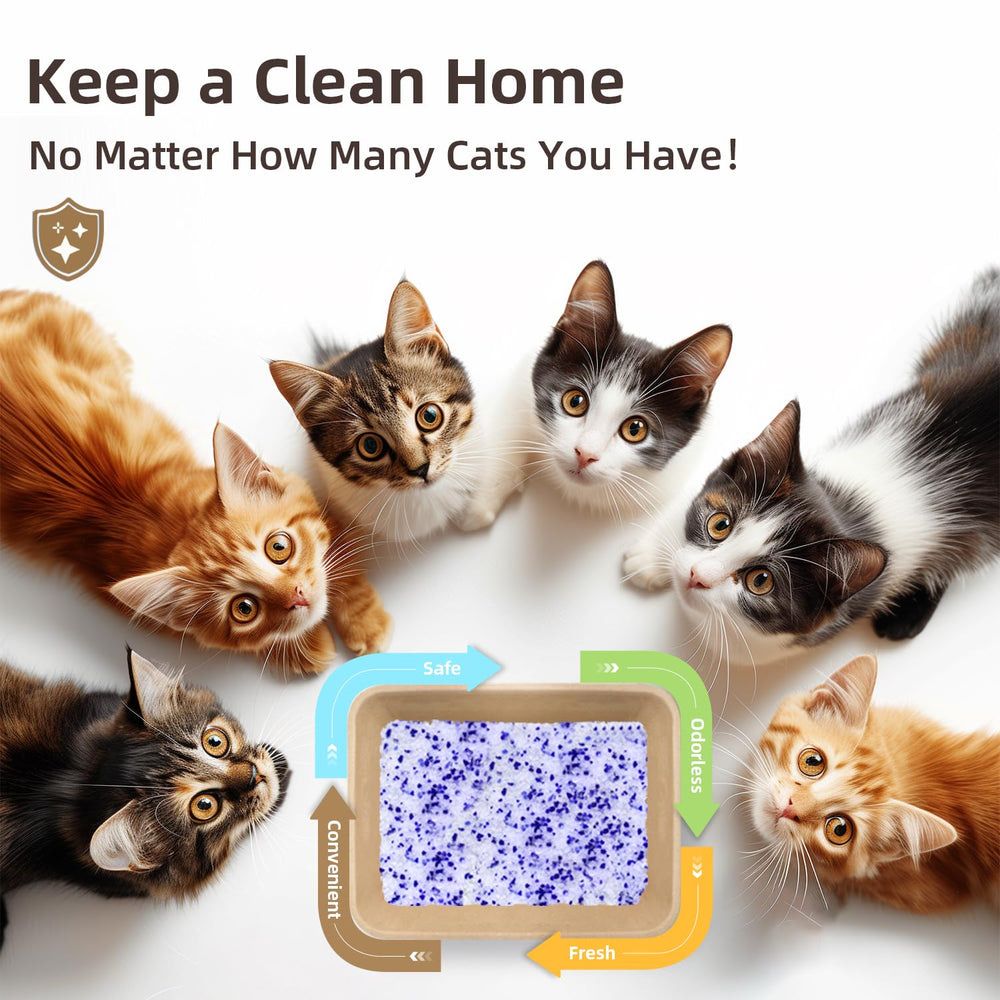 LaSyL packaging and crystals emphasize quality and long-lasting performance