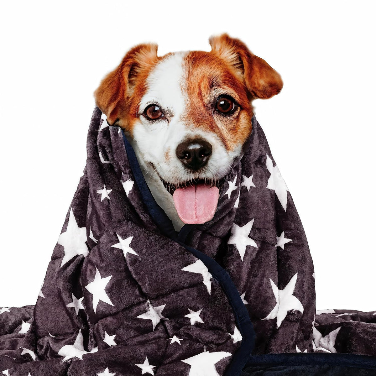 LaSyL weighted blanket for pets in blue-grey star over a calm dog for calming comfort.