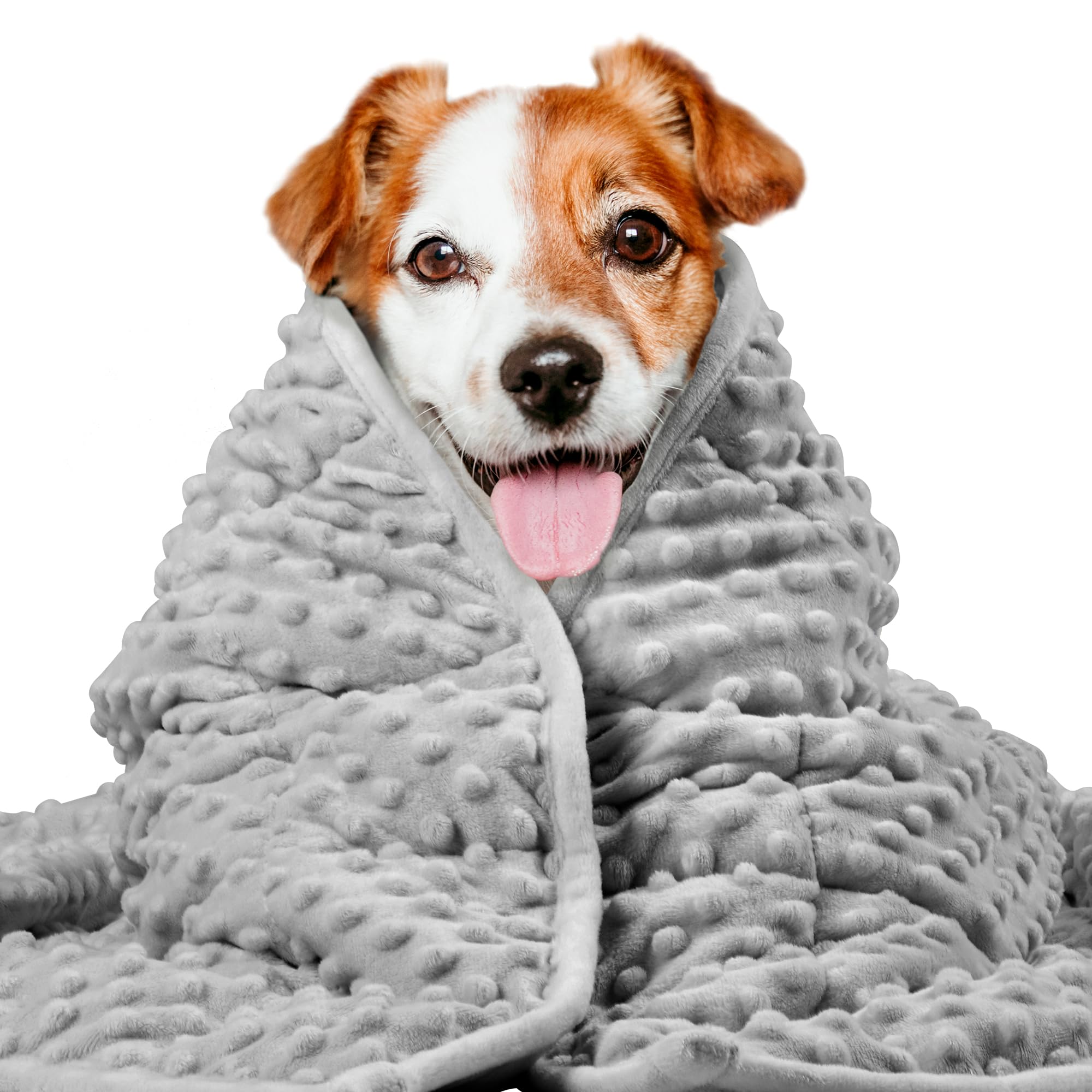 LaSyL weighted blanket for pets front view shows plush dark grey minky fabric promoting calm sleep.