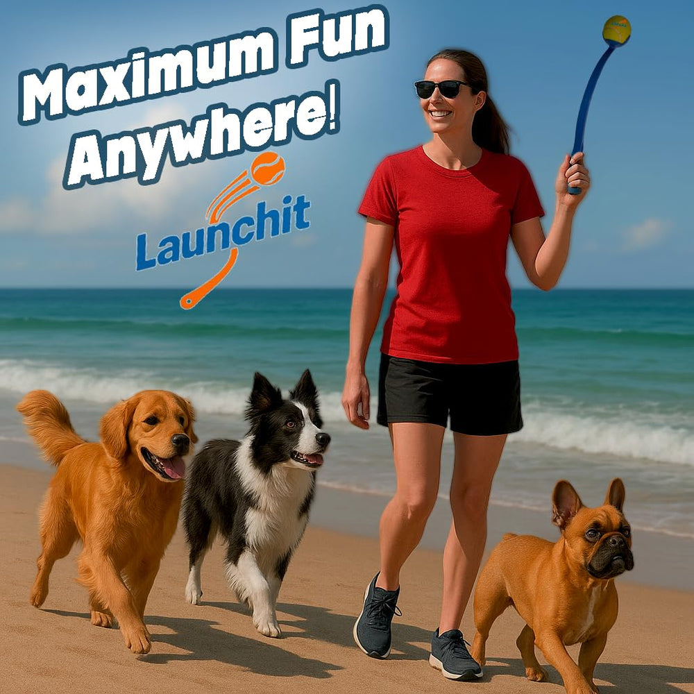 Launchit supports outdoor fetch sessions with easy transport.