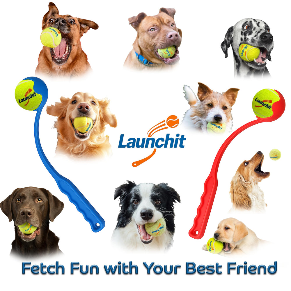 Launchit suitable for small to medium dogs 15–60 lbs for indoor or outdoor play.
