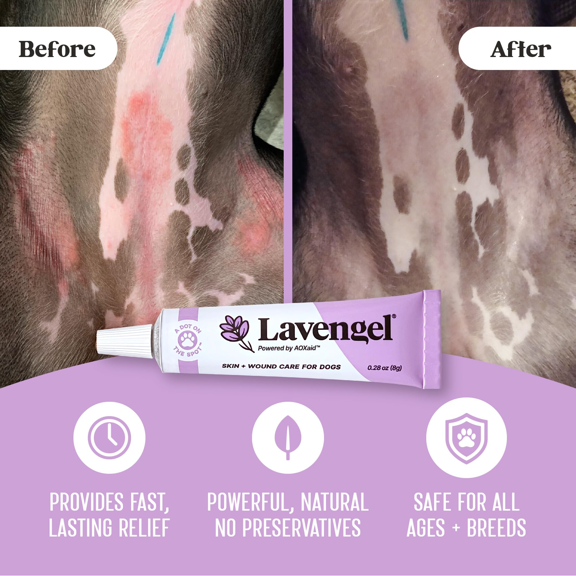 Lavengel dog ointment application on paw provides itching relief during walks.