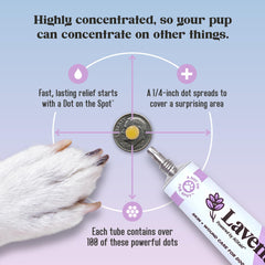Lavengel dog dermatitis-relief application on flare-ups for versatile skin care.