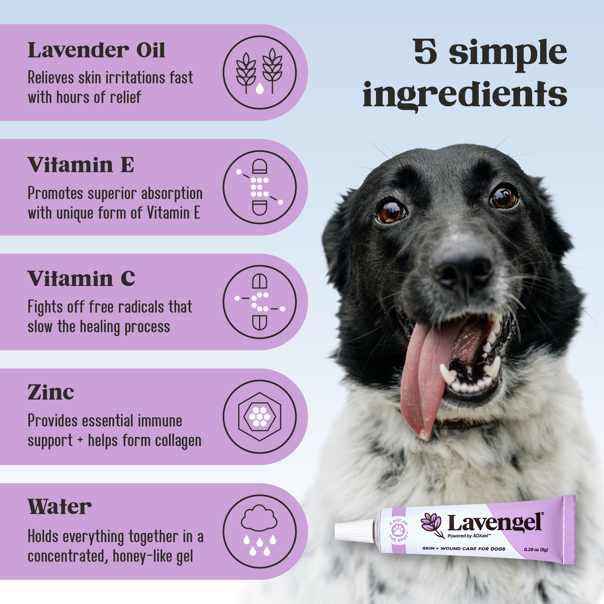 Lavengel dog minor-wound care supports smoother healing for tiny cuts.