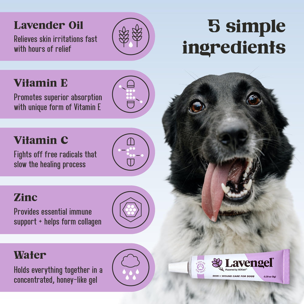 Lavengel dog minor-wound care supports smoother healing for tiny cuts.