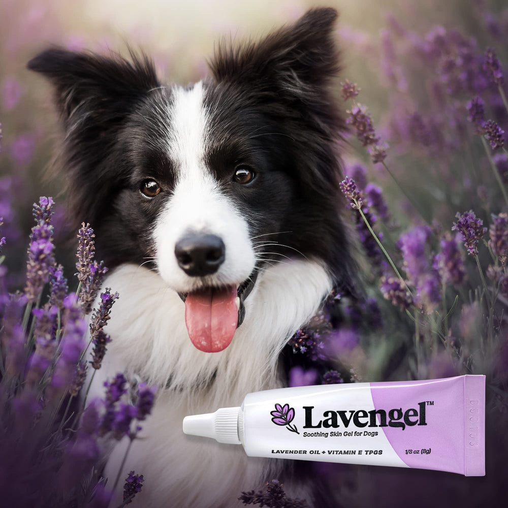Lavengel dog natural ingredients label emphasizes safe skin-care advantages.