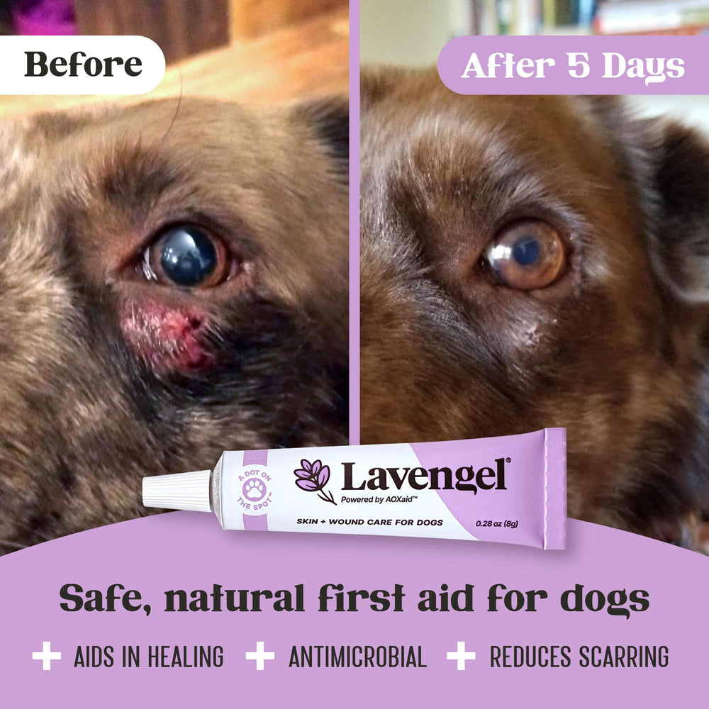 Lavengel dog non-greasy formula allows mess-free application on fur.