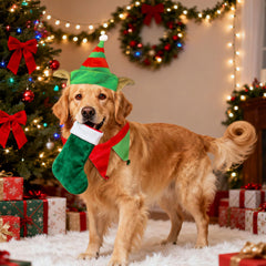 LaVenty bandana with jingling bells adds cheerful sound during celebrations.