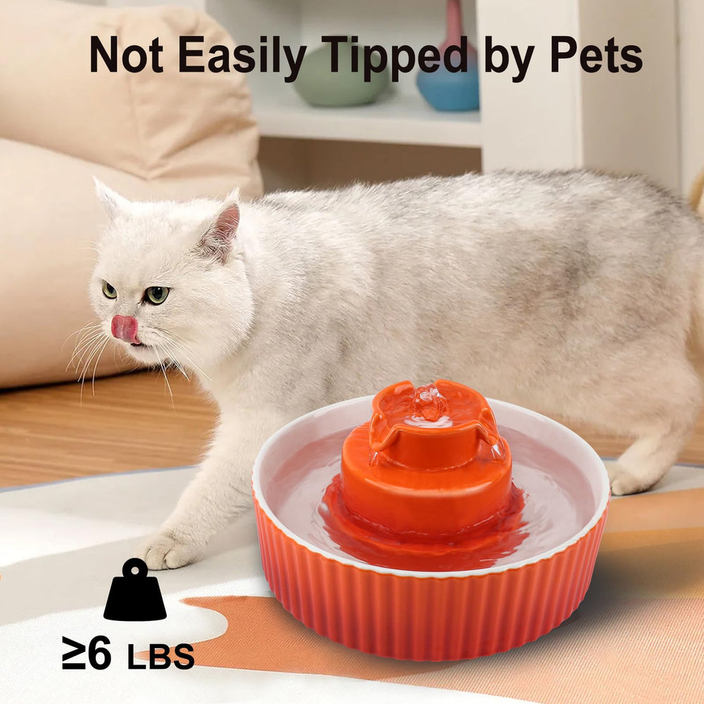 Lawfery Cupcake quick setup demonstrates fast, simple installation.