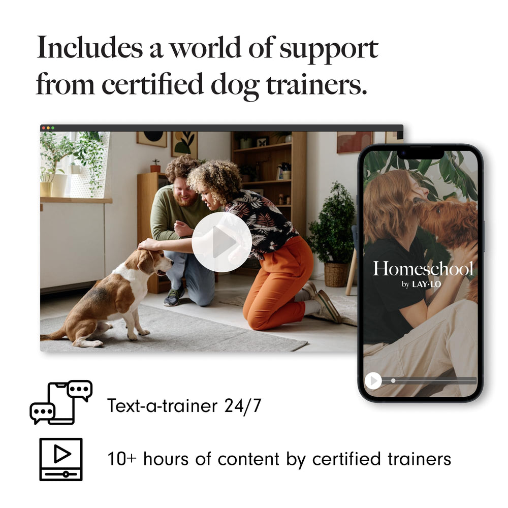 LAY LO durable-knotted-construction demonstrates long-lasting play for active pups
