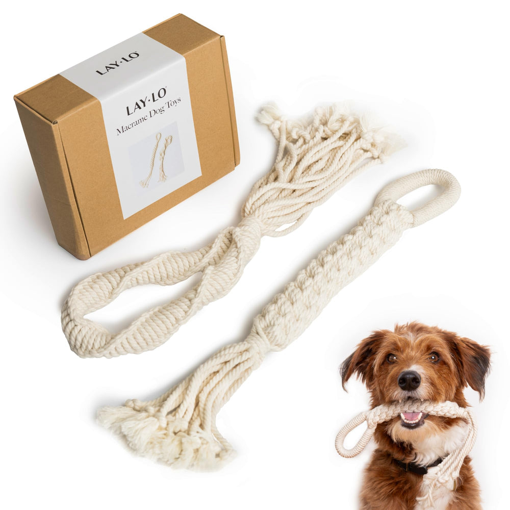 LAY LO rope toy 2-pack with live support for guided training sessions