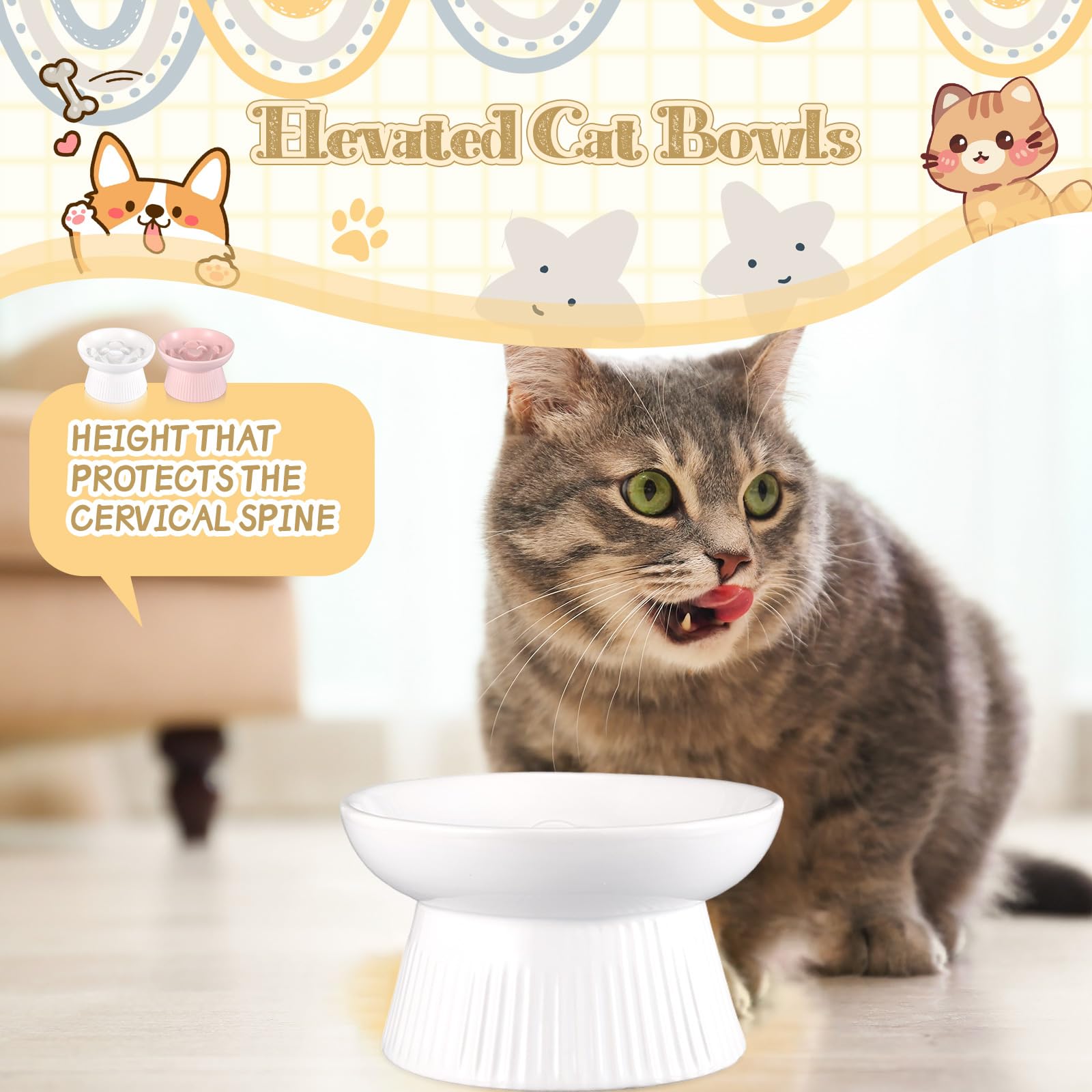 Layhit gift-ready packaging for two ceramic elevated cat bowls.