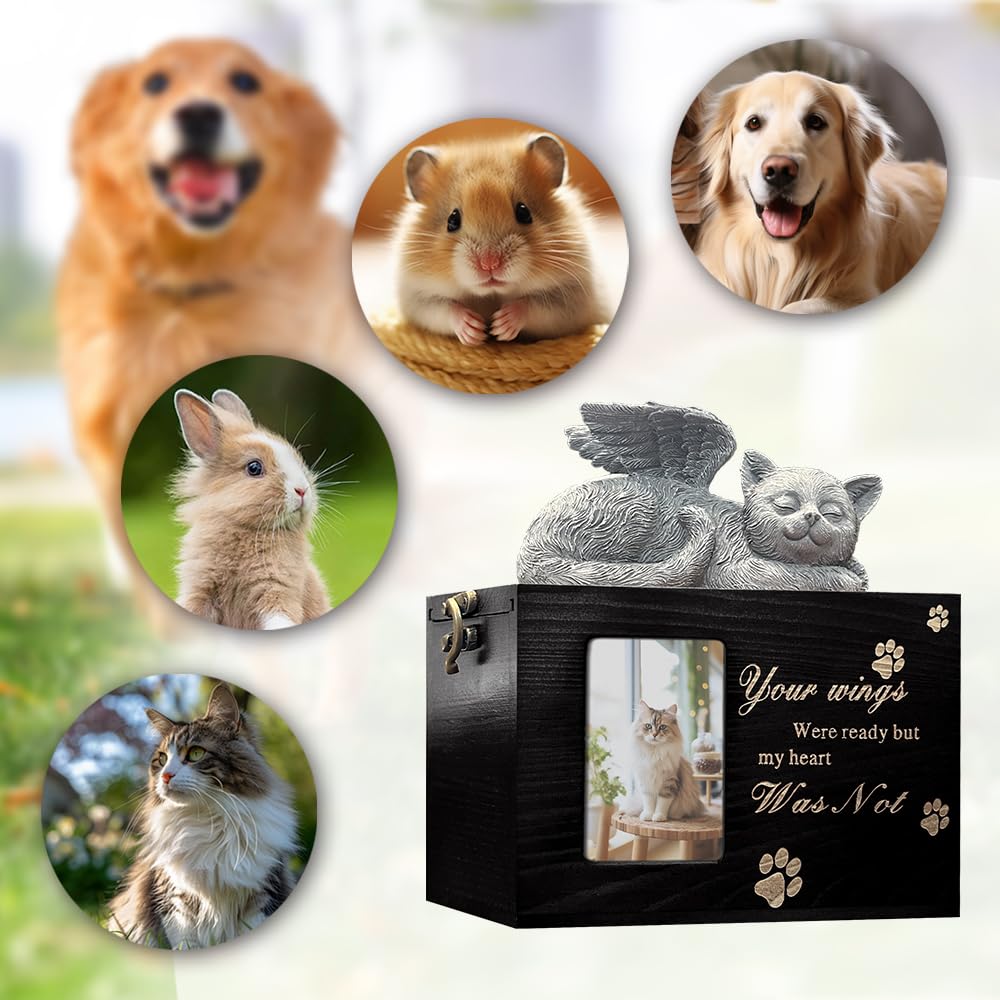 LAZYESTHER cat urn memory-display invites peaceful remembrance at home