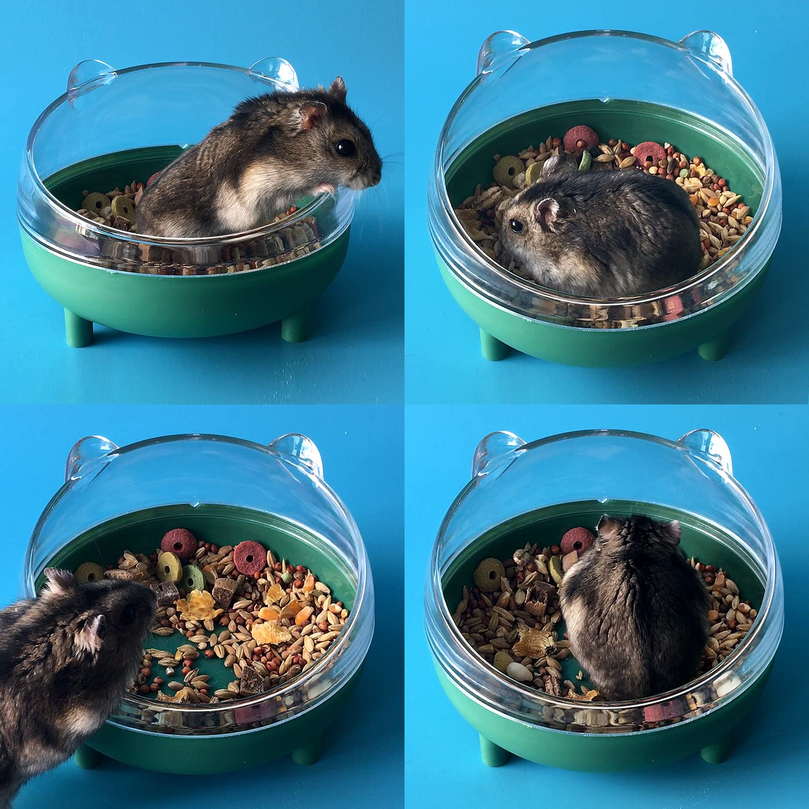 lazyyzal hamster toilet for dwarf hamsters and gerbils supports grooming routines