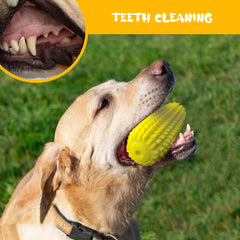 LBCSO aggressive-chewer-dog-toy provides tough chewing without immediate destruction.