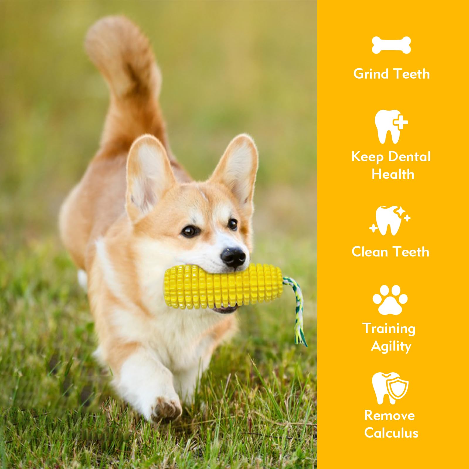 LBCSO durable-tpr-dog-toy resists aggressive chewers for longer-lasting play.