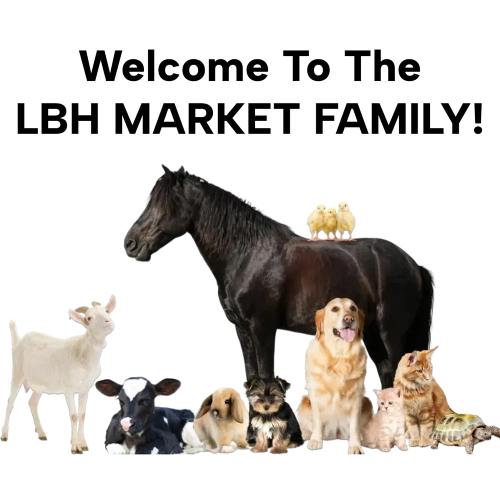 LBH Market reusable kit that can feed multiple newborns efficiently