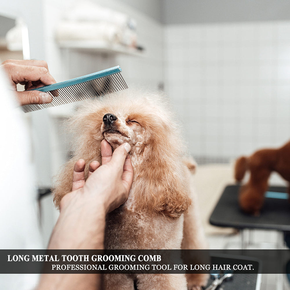 LBMBAIC grooming in action with long-haired dog blue, demonstrates knot and mat removal