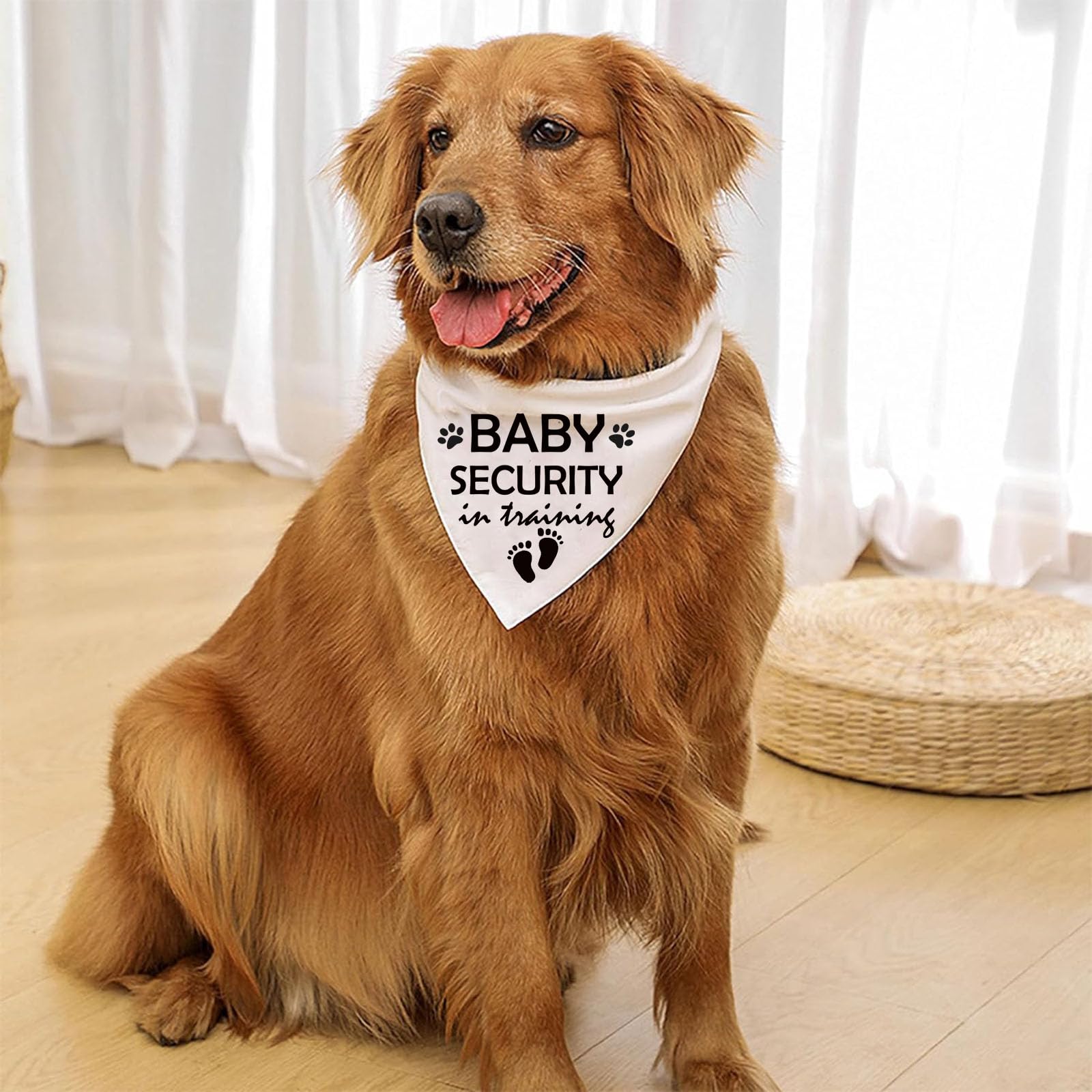 Lcekterur baby-security-in-training-bandana worn by a dog for pregnancy reveal photos