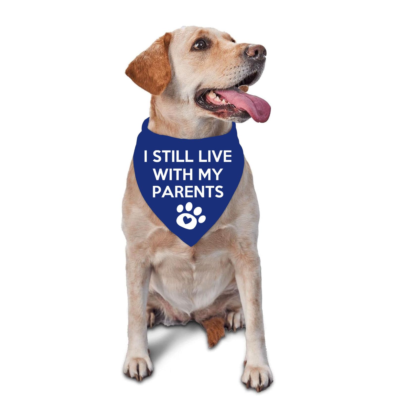 Lcekterur funny dog bandana fabric shows breathable, comfortable material