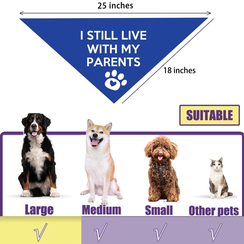 Lcekterur gift-for-dog-lovers bandana for celebrations