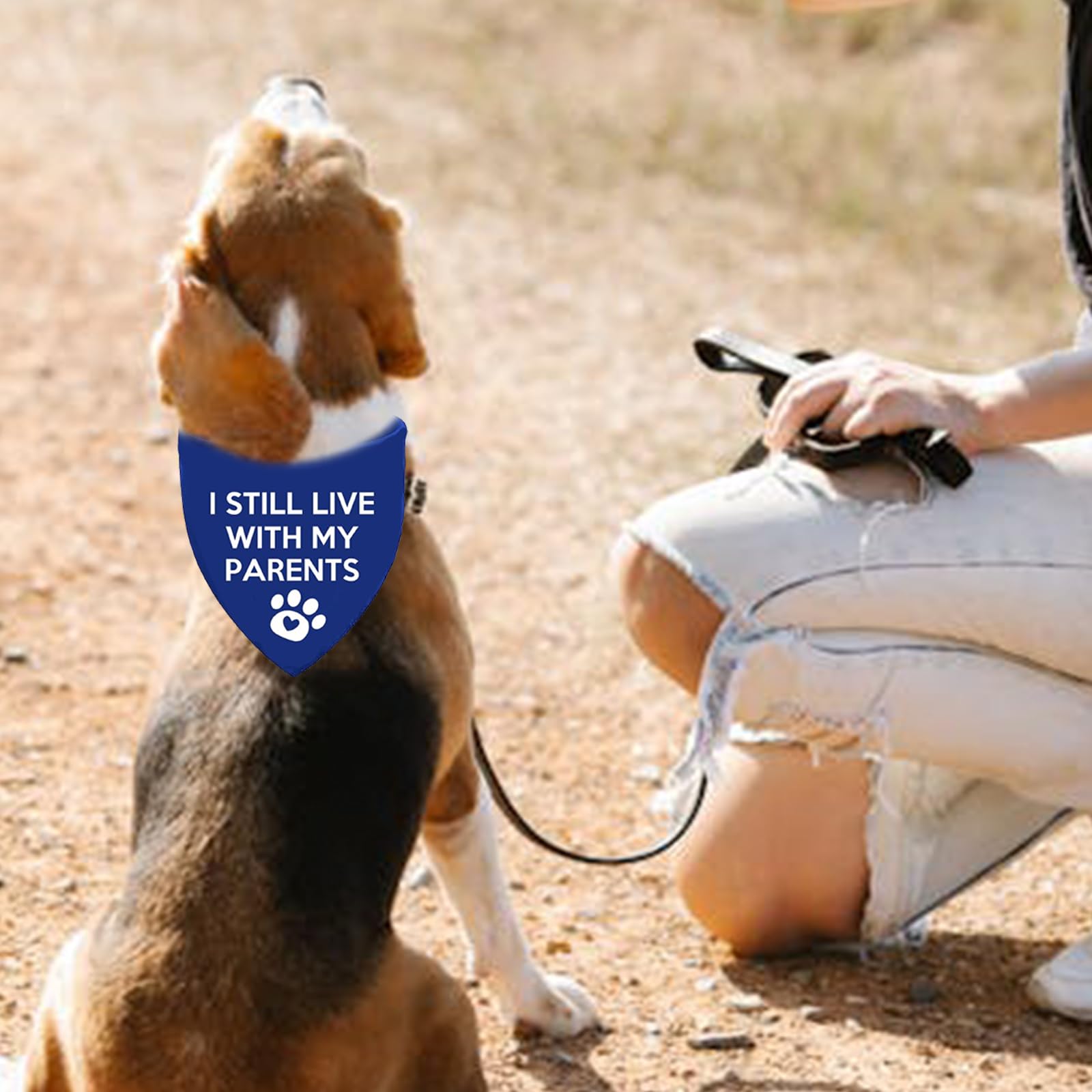 Lcekterur photo-prop for pets bandana enhances family portraits