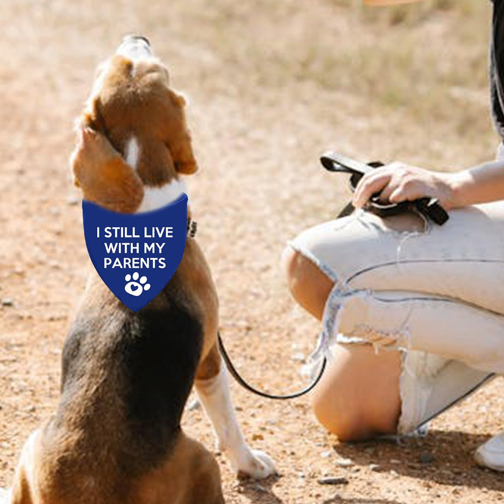Lcekterur photo-prop for pets bandana enhances family portraits