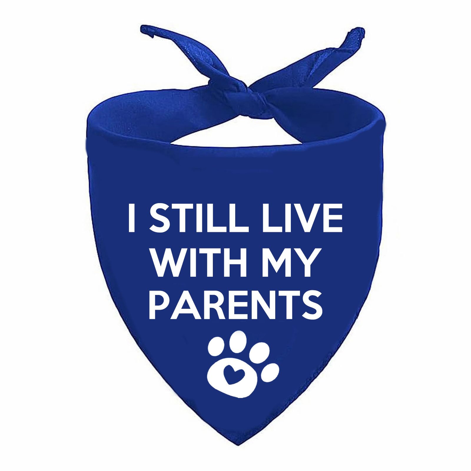 Lcekterur pregnancy-announcement dog bandana ready for cute baby reveal photos