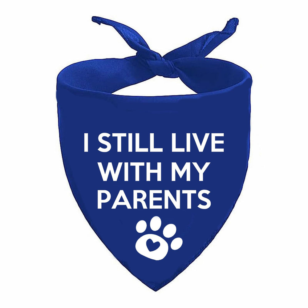 Lcekterur pregnancy-announcement dog bandana ready for cute baby reveal photos