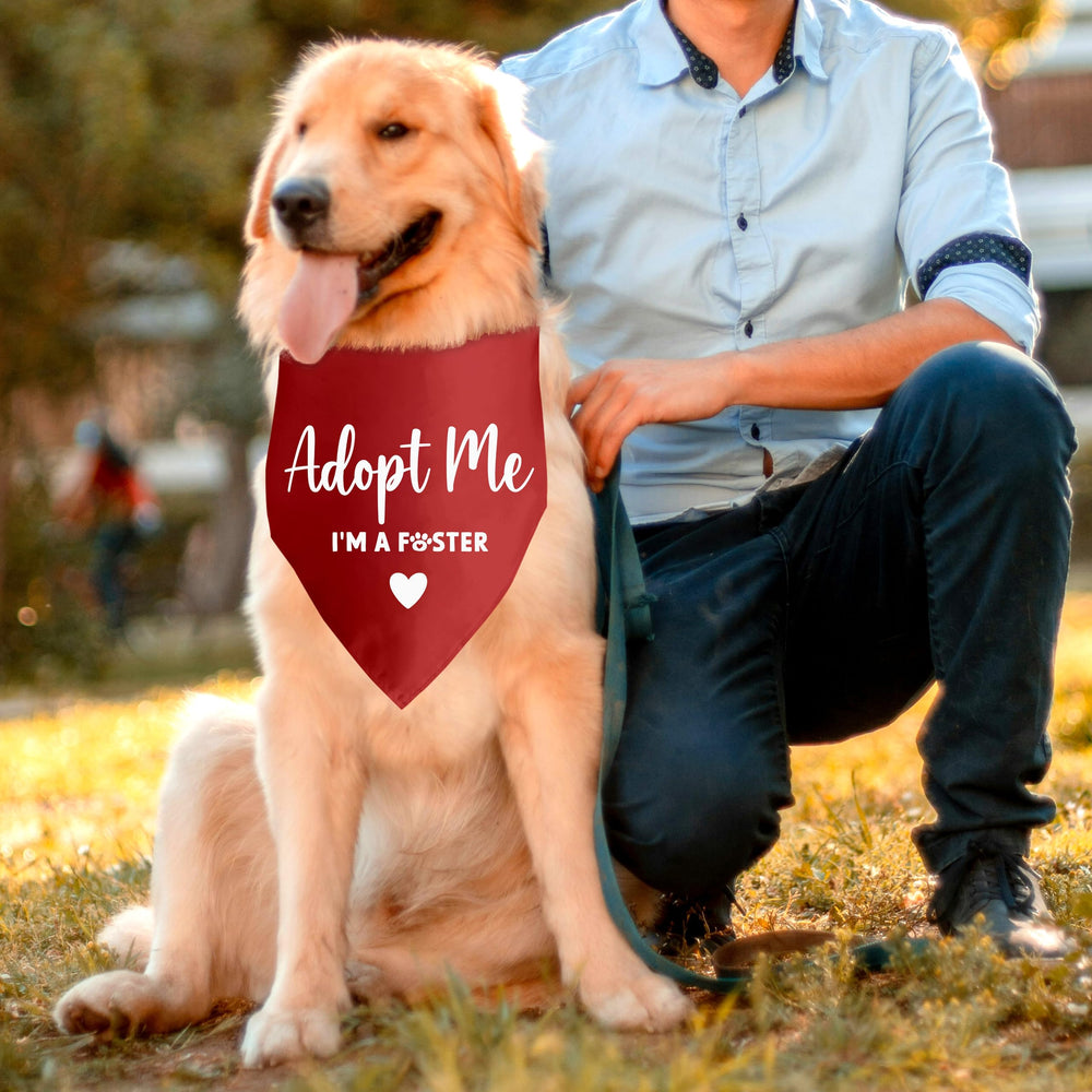 Lcoanriut best service bandana with quality assurance and friendly support.