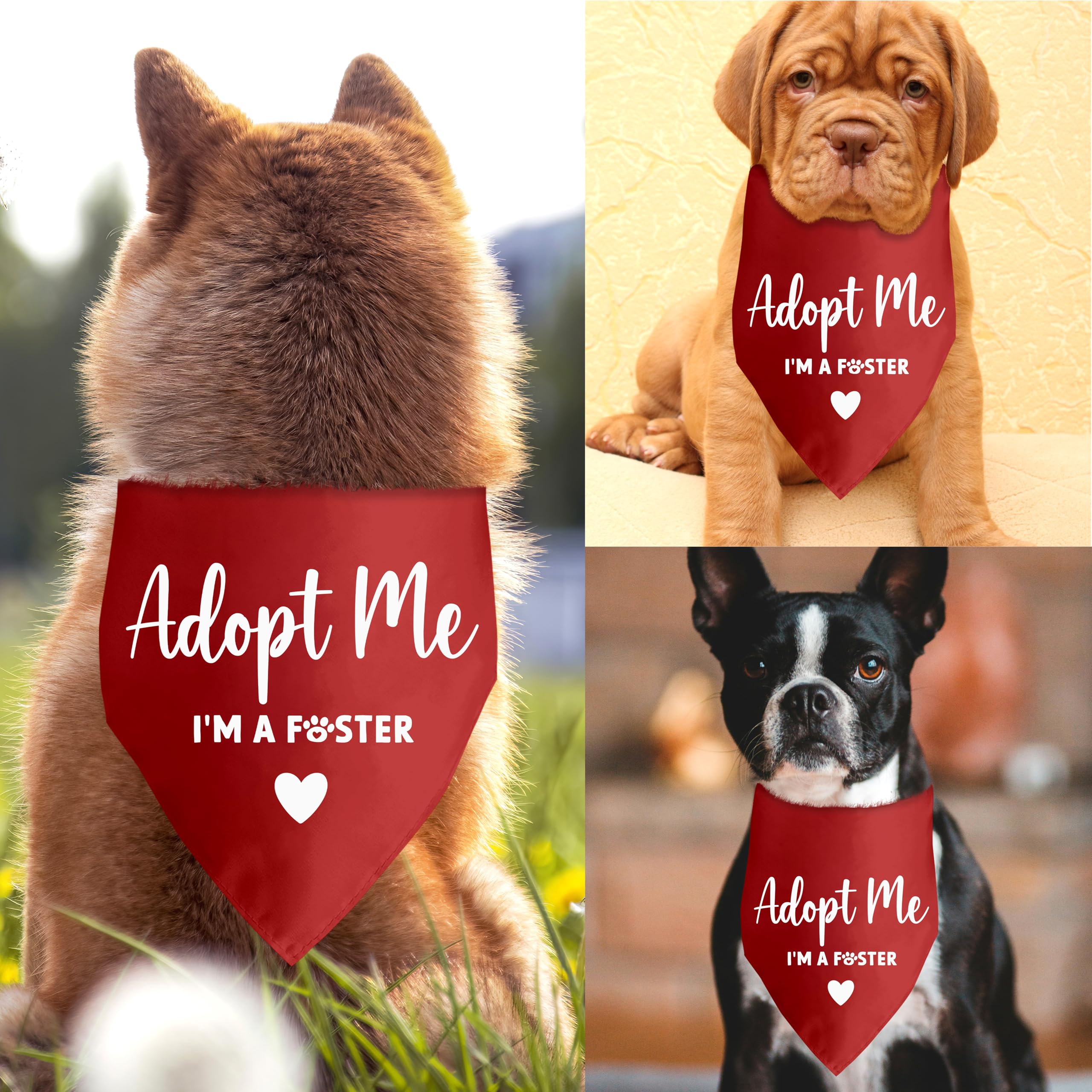 Lcoanriut triangle scarf design provides a stylish, snug fit.