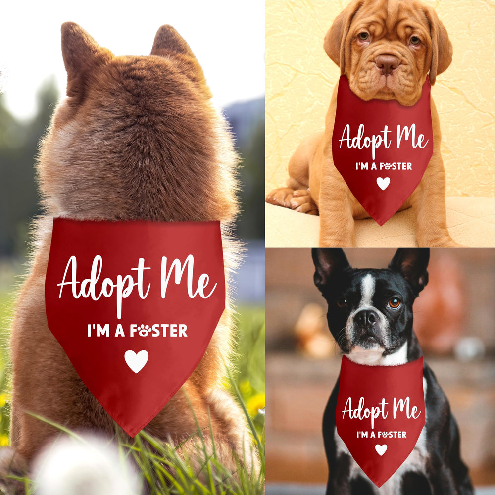 Lcoanriut triangle scarf design provides a stylish, snug fit.