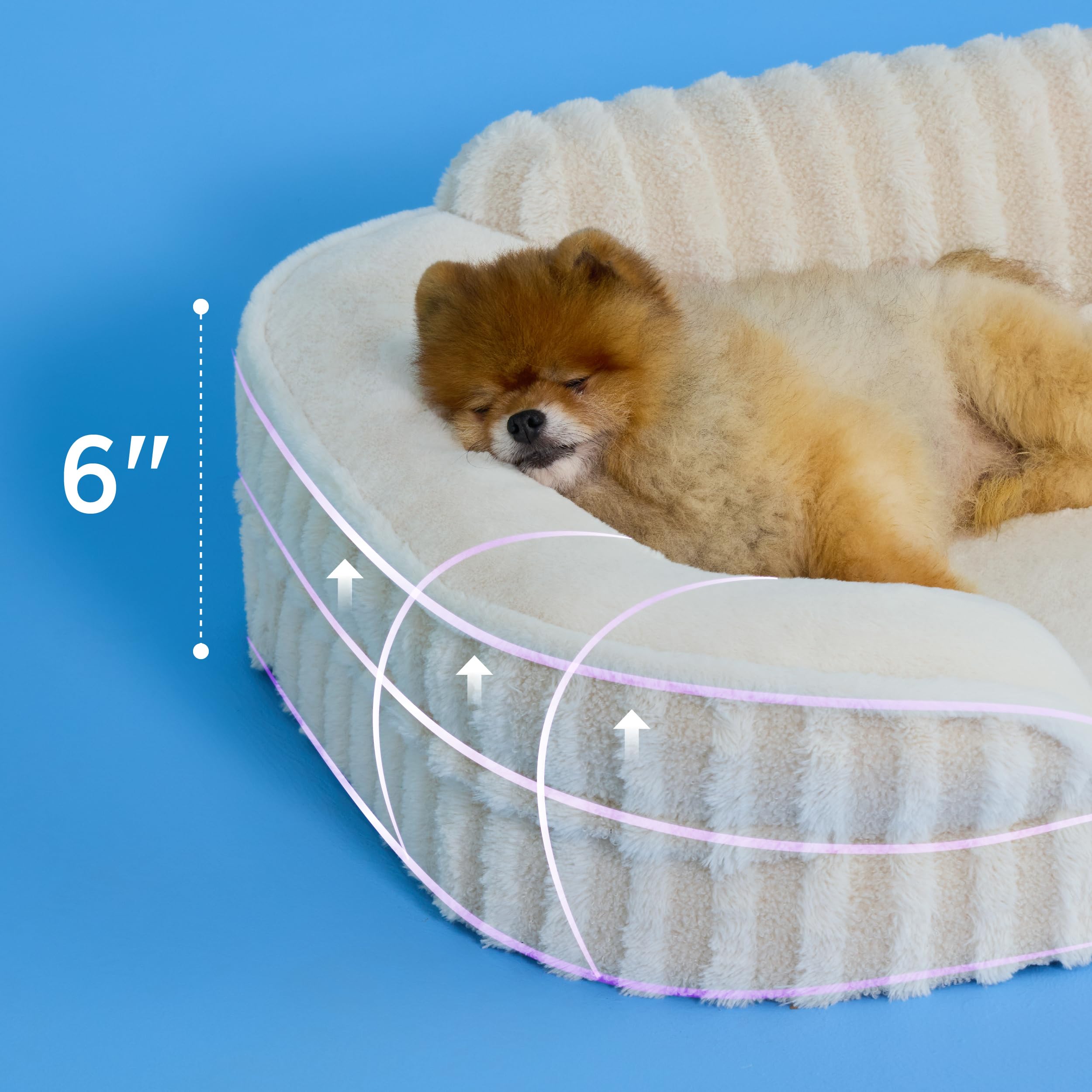LE SURE dog bed with bolstered headrest provides neck support for restful naps.