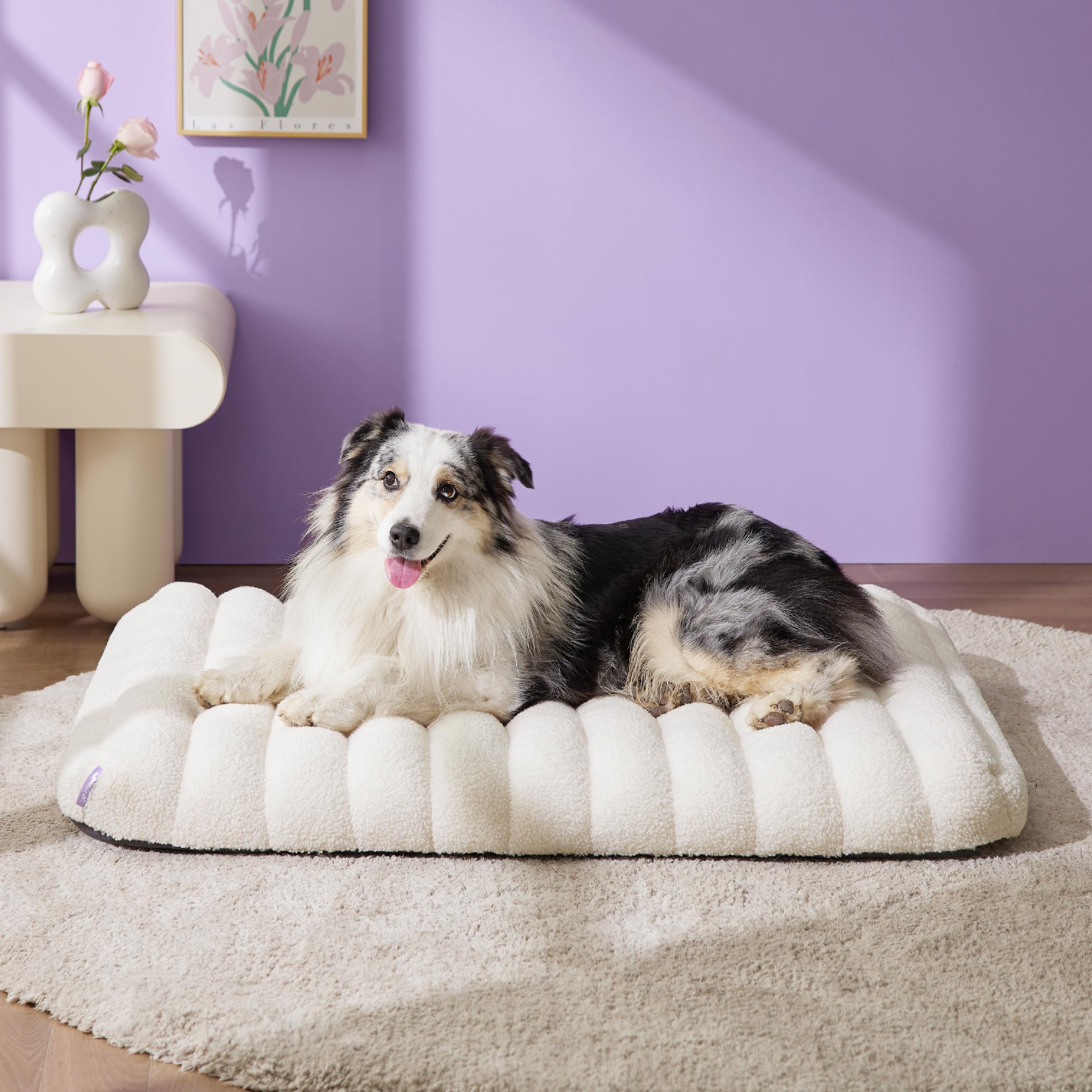 LE SURE orthopedic dog bed side view in cream shows pressure-relief potential.