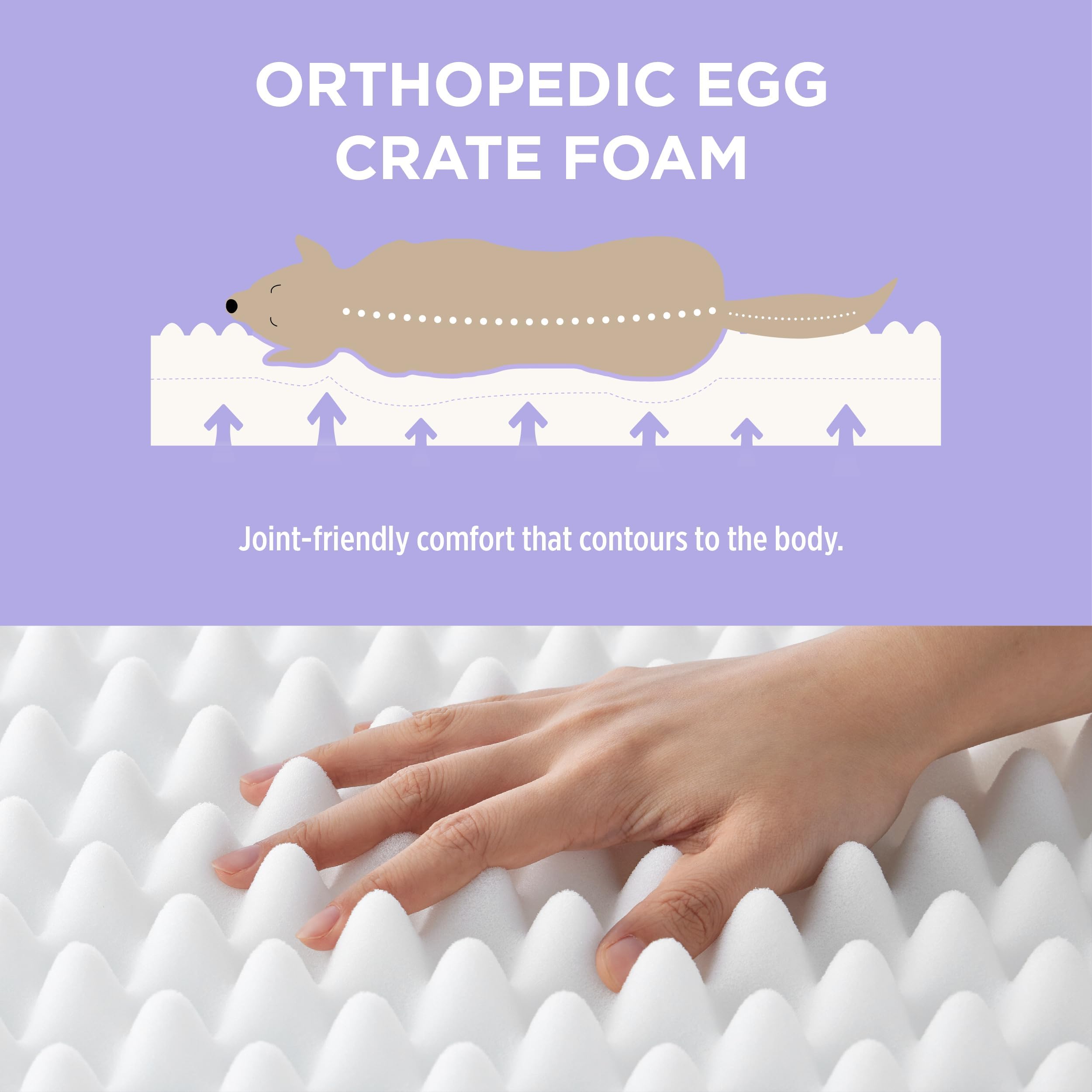 LE SURE bed features non-slip bottom for secure placement.