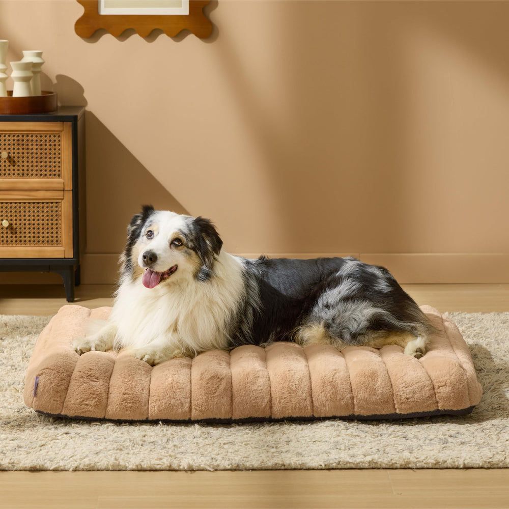 LE SURE dog bed with waterproof liner keeps inner foam dry.